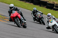 PJ-Motorsport-2019;anglesey-no-limits-trackday;anglesey-photographs;anglesey-trackday-photographs;enduro-digital-images;event-digital-images;eventdigitalimages;no-limits-trackdays;peter-wileman-photography;racing-digital-images;trac-mon;trackday-digital-images;trackday-photos;ty-croes